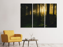 Laden Sie das Bild in den Galerie-Viewer, Leinwandbild 3-teilig Sonnenuntergang im Wald