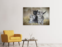 Laden Sie das Bild in den Galerie-Viewer, Leinwandbild 3-teilig Kitten Trio