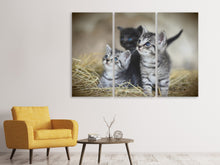 Laden Sie das Bild in den Galerie-Viewer, Leinwandbild 3-teilig Kitten Trio