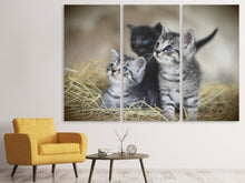 Laden Sie das Bild in den Galerie-Viewer, Leinwandbild 3-teilig Kitten Trio