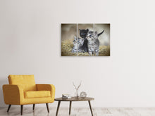 Laden Sie das Bild in den Galerie-Viewer, Leinwandbild 3-teilig Kitten Trio