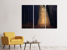 Laden Sie das Bild in den Galerie-Viewer, Leinwandbild 3-teilig Abendstimmung im Wald