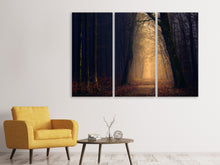 Laden Sie das Bild in den Galerie-Viewer, Leinwandbild 3-teilig Abendstimmung im Wald