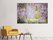 Laden Sie das Bild in den Galerie-Viewer, Leinwandbild 3-teilig Im schönen Frühling