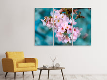 Laden Sie das Bild in den Galerie-Viewer, Leinwandbild 3-teilig Close up Blume