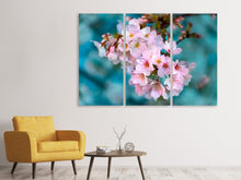 Laden Sie das Bild in den Galerie-Viewer, Leinwandbild 3-teilig Close up Blume