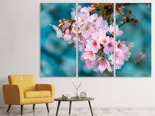 Laden Sie das Bild in den Galerie-Viewer, Leinwandbild 3-teilig Close up Blume