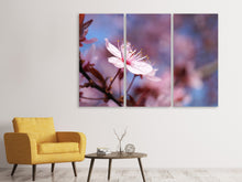 Laden Sie das Bild in den Galerie-Viewer, Leinwandbild 3-teilig Close up Kirschblüte