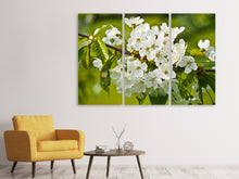 Laden Sie das Bild in den Galerie-Viewer, Leinwandbild 3-teilig Weisse Blüten in XL