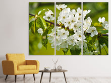 Laden Sie das Bild in den Galerie-Viewer, Leinwandbild 3-teilig Weisse Blüten in XL