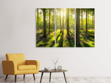 Laden Sie das Bild in den Galerie-Viewer, Leinwandbild 3-teilig Mitten im Wald