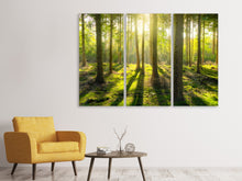Laden Sie das Bild in den Galerie-Viewer, Leinwandbild 3-teilig Mitten im Wald