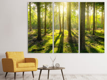 Laden Sie das Bild in den Galerie-Viewer, Leinwandbild 3-teilig Mitten im Wald