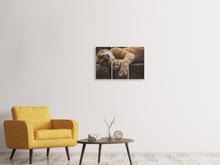 Laden Sie das Bild in den Galerie-Viewer, Leinwandbild 3-teilig Schlafende Katze