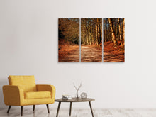 Laden Sie das Bild in den Galerie-Viewer, Leinwandbild 3-teilig Natur im Herbst