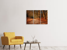 Laden Sie das Bild in den Galerie-Viewer, Leinwandbild 3-teilig Natur im Herbst