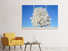 Laden Sie das Bild in den Galerie-Viewer, Leinwandbild 3-teilig Winter Baum