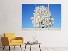 Laden Sie das Bild in den Galerie-Viewer, Leinwandbild 3-teilig Winter Baum