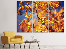 Laden Sie das Bild in den Galerie-Viewer, Leinwandbild 3-teilig Der Nussbaum XL