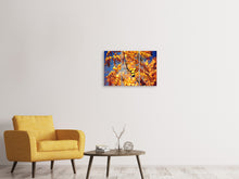 Laden Sie das Bild in den Galerie-Viewer, Leinwandbild 3-teilig Der Nussbaum XL
