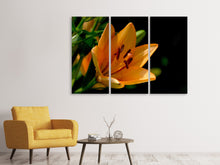 Laden Sie das Bild in den Galerie-Viewer, Leinwandbild 3-teilig Close up Lilie in orange