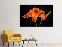 Laden Sie das Bild in den Galerie-Viewer, Leinwandbild 3-teilig Eine Lilien Blüte in orange