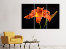 Laden Sie das Bild in den Galerie-Viewer, Leinwandbild 3-teilig Eine Lilien Blüte in orange
