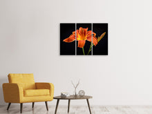 Laden Sie das Bild in den Galerie-Viewer, Leinwandbild 3-teilig Eine Lilien Blüte in orange