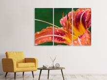 Laden Sie das Bild in den Galerie-Viewer, Leinwandbild 3-teilig XXL Lilie in orange