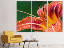 Laden Sie das Bild in den Galerie-Viewer, Leinwandbild 3-teilig XXL Lilie in orange