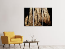 Laden Sie das Bild in den Galerie-Viewer, Leinwandbild 3-teilig Baum Close Up