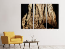Laden Sie das Bild in den Galerie-Viewer, Leinwandbild 3-teilig Baum Close Up