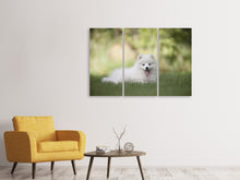 Laden Sie das Bild in den Galerie-Viewer, Leinwandbild 3-teilig Niedliche Spitz Welpe