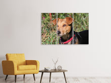 Laden Sie das Bild in den Galerie-Viewer, Leinwandbild 3-teilig Aufmerksamer Hund