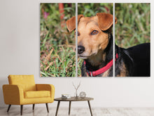 Laden Sie das Bild in den Galerie-Viewer, Leinwandbild 3-teilig Aufmerksamer Hund