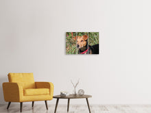 Laden Sie das Bild in den Galerie-Viewer, Leinwandbild 3-teilig Aufmerksamer Hund