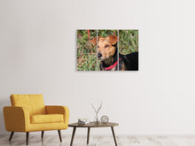 Laden Sie das Bild in den Galerie-Viewer, Leinwandbild 3-teilig Aufmerksamer Hund