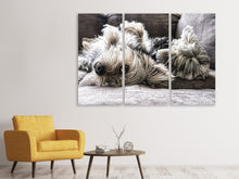 Laden Sie das Bild in den Galerie-Viewer, Leinwandbild 3-teilig 2 niedliche Hunde