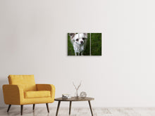 Laden Sie das Bild in den Galerie-Viewer, Leinwandbild 3-teilig Chihuahua Blick