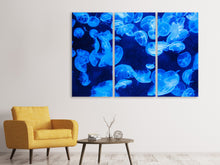 Laden Sie das Bild in den Galerie-Viewer, Leinwandbild 3-teilig Viele Quallen im blauen Wasser