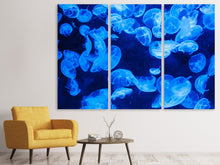 Laden Sie das Bild in den Galerie-Viewer, Leinwandbild 3-teilig Viele Quallen im blauen Wasser