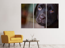 Laden Sie das Bild in den Galerie-Viewer, Leinwandbild 3-teilig Süsse Labrador Welpe