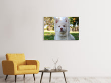 Laden Sie das Bild in den Galerie-Viewer, Leinwandbild 3-teilig Süsse Hundeschnautze