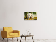 Laden Sie das Bild in den Galerie-Viewer, Leinwandbild 3-teilig Golden Retriever in der Natur