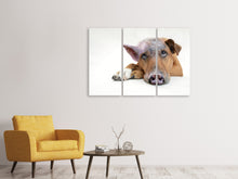 Laden Sie das Bild in den Galerie-Viewer, Leinwandbild 3-teilig Der lustige Schweine Hund