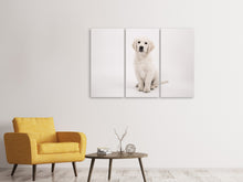 Laden Sie das Bild in den Galerie-Viewer, Leinwandbild 3-teilig Süsse Golden Retriever Welpe