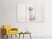 Laden Sie das Bild in den Galerie-Viewer, Leinwandbild 3-teilig Süsse Golden Retriever Welpe