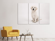 Laden Sie das Bild in den Galerie-Viewer, Leinwandbild 3-teilig Süsse Golden Retriever Welpe