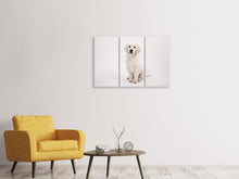 Laden Sie das Bild in den Galerie-Viewer, Leinwandbild 3-teilig Süsse Golden Retriever Welpe