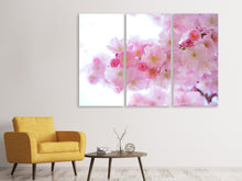 Laden Sie das Bild in den Galerie-Viewer, Leinwandbild 3-teilig Japanische Kirschblüte XL
